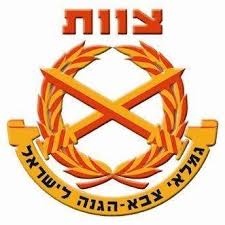 ארגון צוות